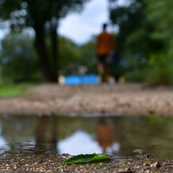 2019-08 Savoie/Misc/DSC_1188.JPG